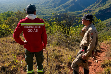 Bombeiro e brigadista que combate incêndio