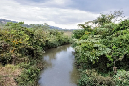 Rio Meia Ponte, em Goiânia - (Foto: reprodução)