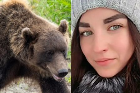 Russa Snezhana Korolyova estava em acampamento como foi o ataque Mulher é morta por urso após ser pedida em casamento; fotos