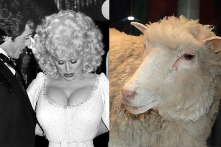 Dolly Parton e ovelha Dolly