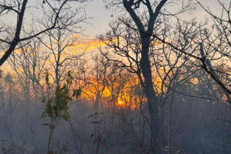 Incêndio no Parque Estadual da Serra Dourada