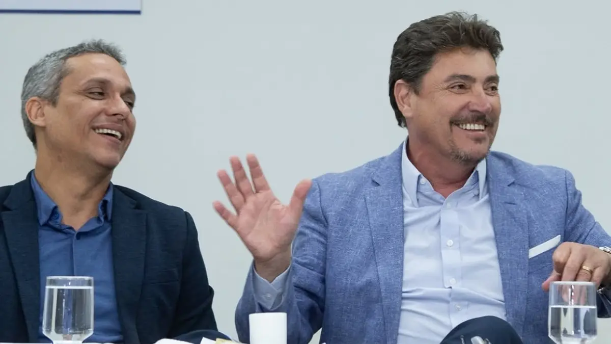 gayer e wilder