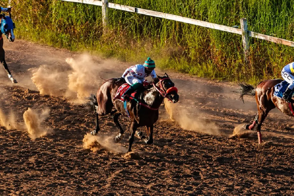 Hipódromo da Lagoinha doações