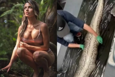 Rosie Moore descobriu história diferente Bióloga mais sexy do mundo abre píton após cobra ser acusada de devorar mulher o que ela encontrou