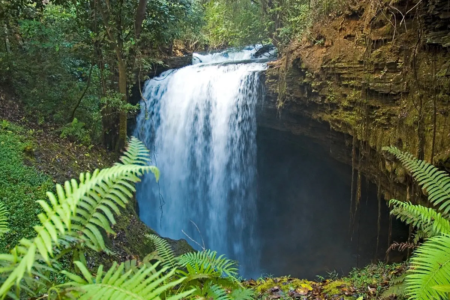 Cachoeira em Goiás surpreende ao esconder queda-d’água dentro de uma caverna Cachoeira do Funil, em Mambaí, ecoturismo em Goiás