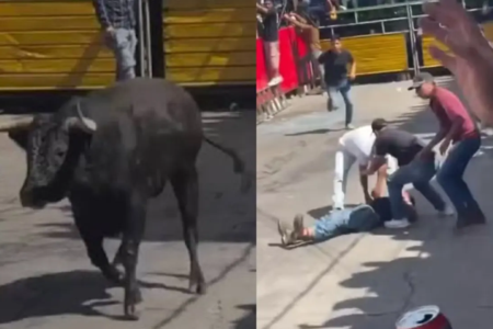 Vídeo mostra animal jogando homem para cima sangue Cenas fortes: homem é chifrado por touro, tem pulmão ‘dilacerado’ e morre no México