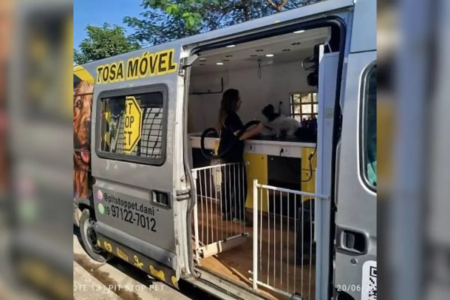 Ambulantes móveis, como serviços de banho e tosa a domicílio, podem ficar até duas horas no mesmo ponto em nova regra da Prefeitura de Goiânia (Foto: reprodução)