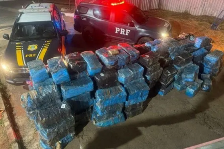 Super maconha apreendida em Cristalina é a maior carga encontrada pela PRF no Brasil em 2026 (Foto: PRF)
