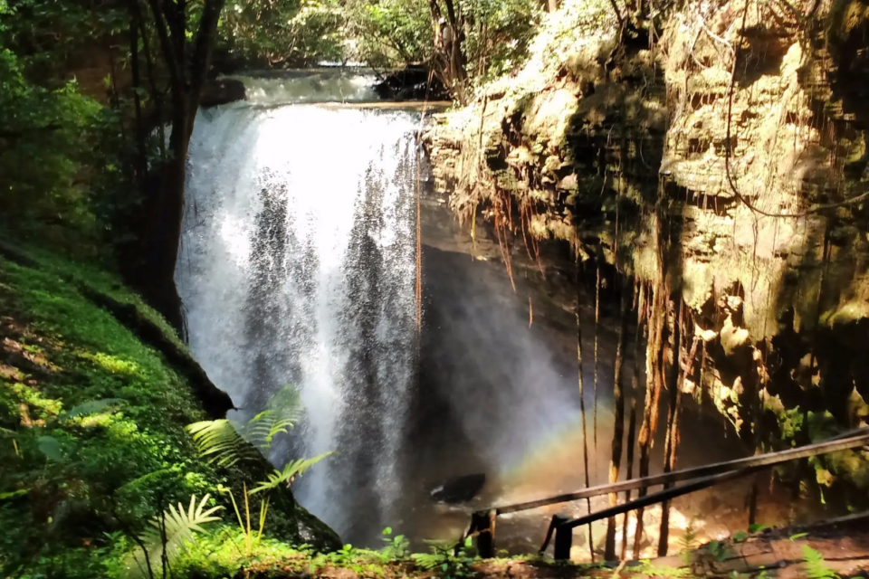 Cachoeira em Goiás surpreende ao esconder queda-d’água dentro de uma caverna Cachoeira do Funil, em Mambaí, ecoturismo em Goiás