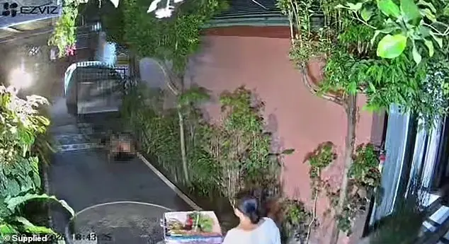 Turista flagrado fazendo sexo na rua é banido da Indonésia por 10 anos fotos ritual de purificação no local para afastar energias negativas