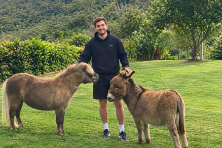 Três minutos com um burro pode melhorar o seu humor Interação pode ajudar a reduzir sentimentos de ansiedade, tristeza e solidão