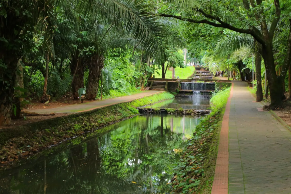 Bosque dos Buritis_Jackson Rodrigues