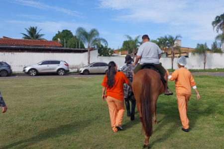 cavalo x hmap