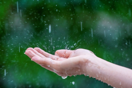 Mão humana toca chuva com fundo verde