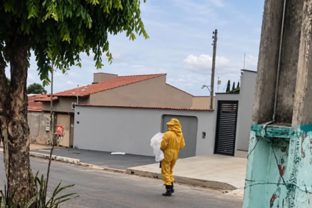 Cachorro morre após ataque de abelhas em Caldas Novas (Foto: Corpo de Bombeiros)