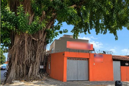 Gameleira de cerca de 10 metros de altura vai ser removida após invadir casa de morador no Setor Campinas, em Goiânia (Foto: AMMA)