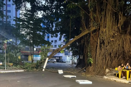 Galho de grande porte cai no meio da rua na Praça da Cirrose e prefeitura sinalizar área para risco de acidentes (Foto: Comurg)
