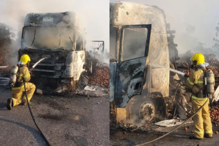 Caminhão carregado com maçãs pega fogo na divisa de Goiás com Tocantins (Foto: Corpo de Bombeiros de Goiás)