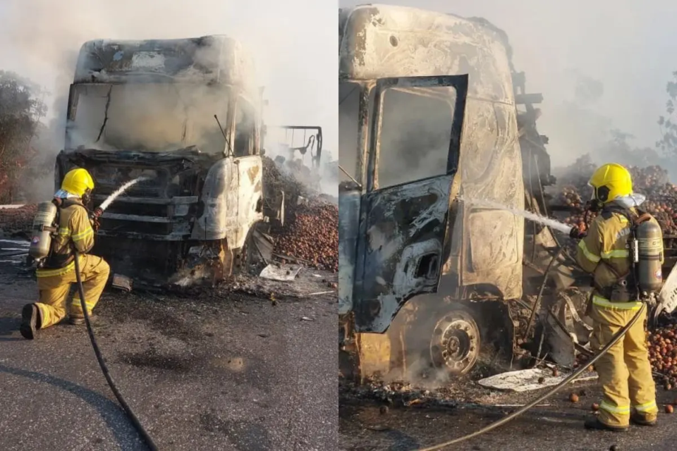 Caminhão carregado com maçãs pega fogo na divisa de Goiás com Tocantins (Foto: Corpo de Bombeiros de Goiás)