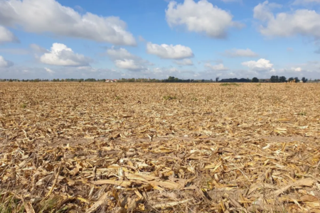 Seca extrema em Goiás levou produtores de São Miguel do Araguaia a ganhar na Justiça mais prazos para pagar dívidas com a Caixa (Foto: Reprodução)
