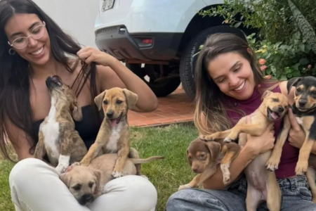 Michelle Alves e outra voluntária aparecem ao lado de cães resgatados em um lar temporário