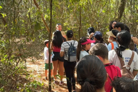 Atividade no Parque Estadual Altamiro de Moura Pacheco (Peamp)