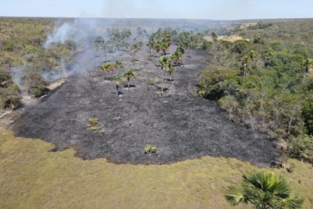 Área atingida por queimada em Goiás