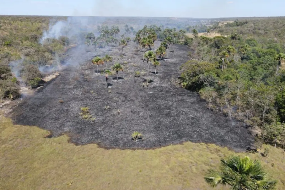 Área atingida por queimada em Goiás