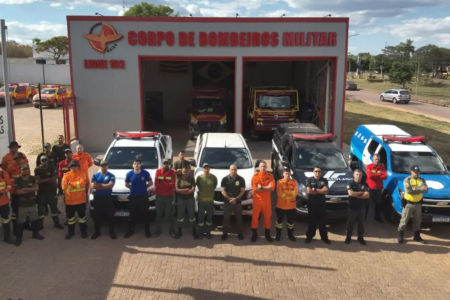 Estado inicia nova fase da operação Abafa, que identificar e punir quem causa queimadas em Goiás (Foto: Divulgação)