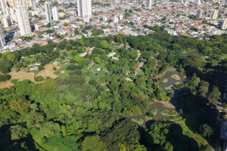 goiania