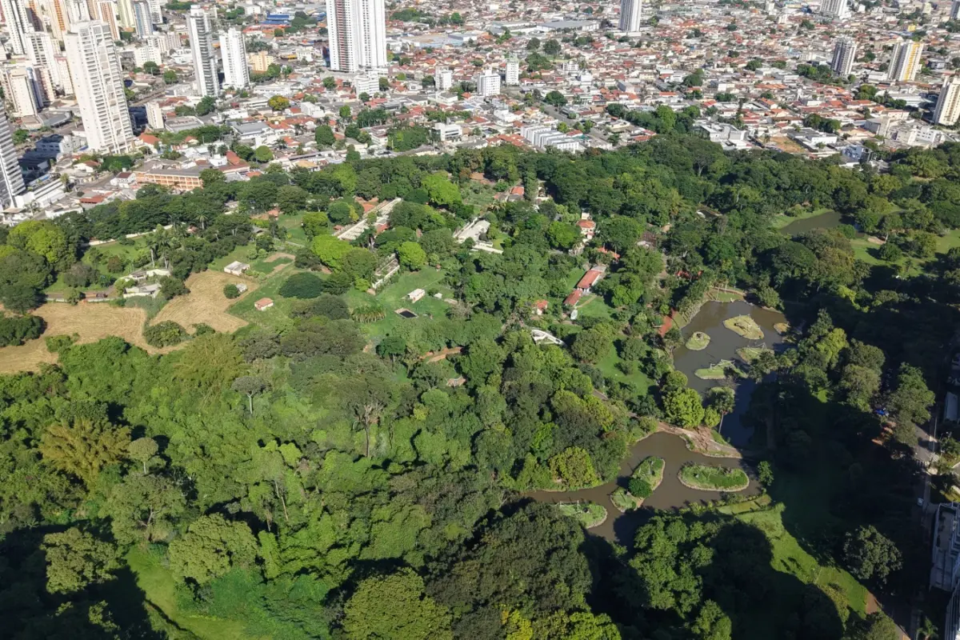 goiania 