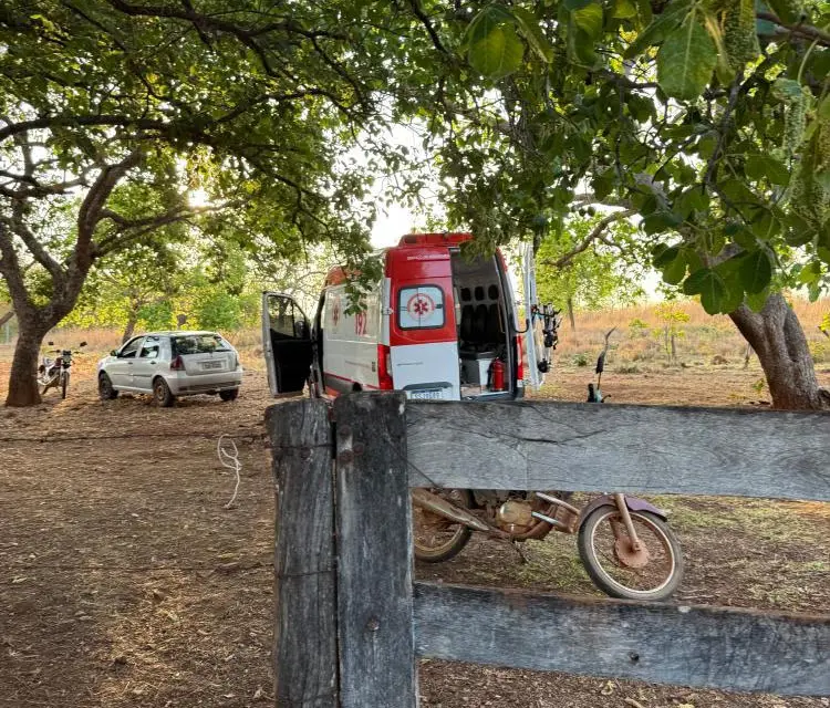 Foto mostra quintal de fazenda onde idoso foi atacado por abelhas em Santa Terezinha de Goiás. Ambulância do Samu é vista ao fundo (Foto: PM)