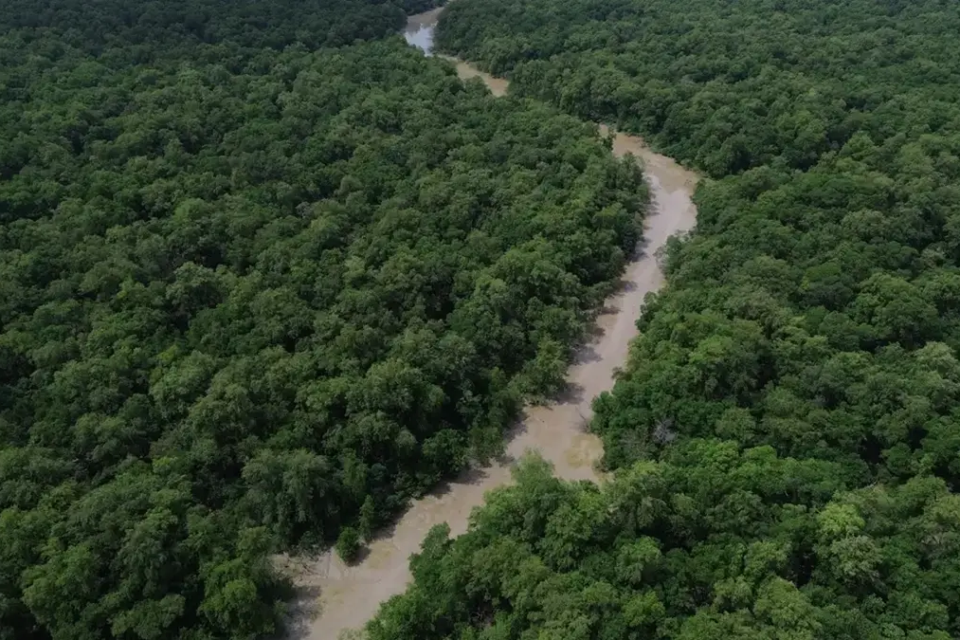 amazônia