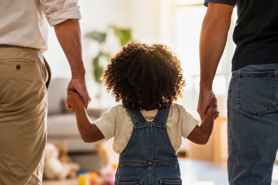 Adoções por casais homoafetivos cresceram 207% no Brasil entre 2019 e 2024 ( Reprodução internet)