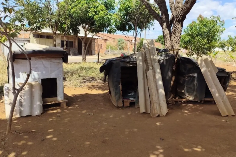caodominio x praça 
