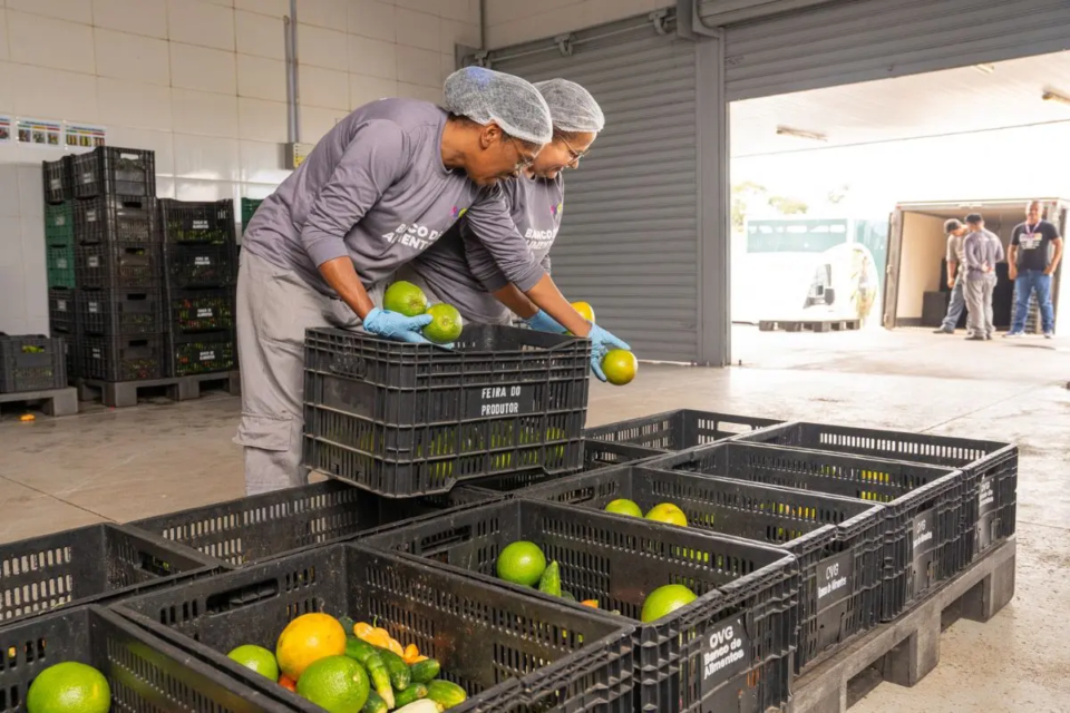 Os produtos são doados por produtores, comerciantes e permissionários da Ceasa-GO (Foto: Governo de Goiás)