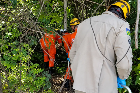 Bombeiros resgatando desaparecido - (Foto: reprodução)