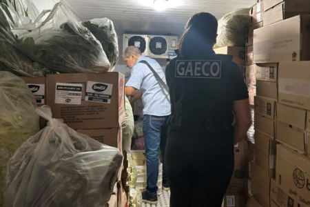 Agentes cumprindo mandados - (Foto: reprodução/MP)