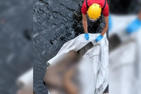 Bombeiro resgatando cachorro - (Foto: reprodução/Corpo de Bombeiros)
