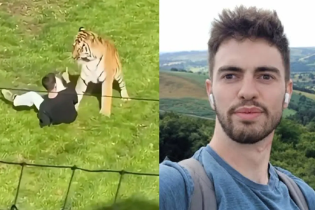 Família de jovem morto por tigre em zoológico na Inglaterra se pronuncia; vídeo contém cenas fortes animal atacando William Chapman