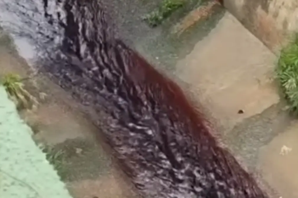 Água do Ribeirão Pirapitinga fica vermelha e assusta moradores de Catalão (Foto: Reprodução/Redes Sociais)