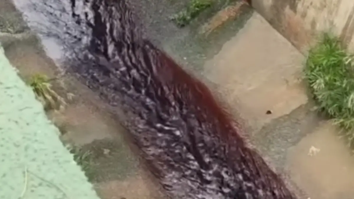 Água do Ribeirão Pirapitinga fica vermelha e assusta moradores de Catalão (Foto: Reprodução/Redes Sociais)