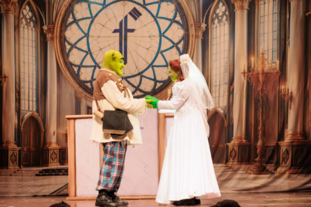 ‘Shrek – O Musical’ terá apresentação única em Goiânia