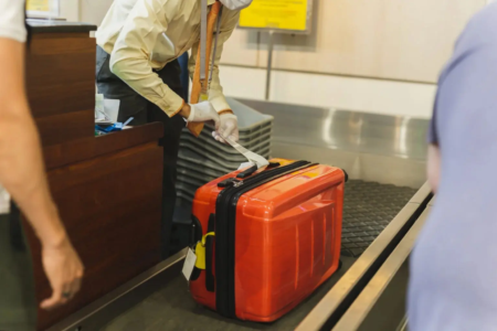 Homem é preso em aeroporto com 90 lagartos e cobras venenosas na bagagem; veja fotos Cerca de 30 animais morreram durante a viagem